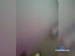 ElvisSYKA bongacams livecam show performer room profile