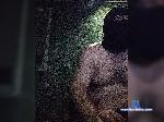 NobiWeb bongacams livecam show performer room profile