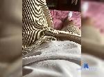 Loweeds420 bongacams livecam show performer room profile