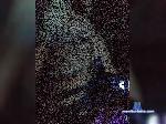 Ledy69boss bongacams livecam show performer room profile