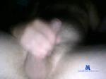 MisterTonny bongacams livecam show performer room profile