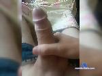 pol17cmm bongacams livecam show performer room profile