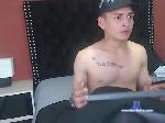 Stidd- bongacams livecam show performer room profile