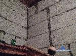 shnurki1599 bongacams livecam show performer room profile