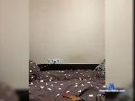 X-ESSKA bongacams livecam show performer room profile
