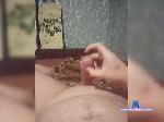 Artem7961 bongacams livecam show performer room profile