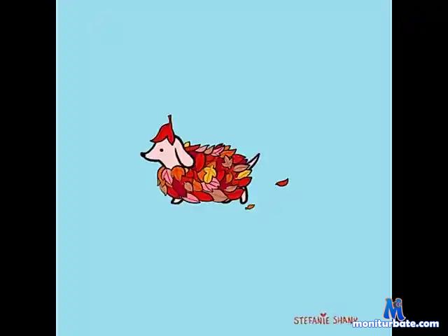 kimodel bongacams performer male