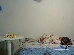 LeayScarlett bongacams livecam show performer room profile