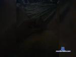 Maloy2261 bongacams livecam show performer room profile