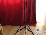 Zenad1 bongacams livecam show performer room profile