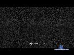 goroloc bongacams livecam show performer room profile