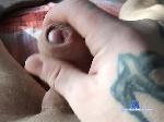 SuperTruck bongacams livecam show performer room profile