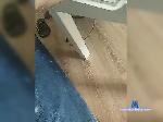 Amurrr-1 bongacams livecam show performer room profile