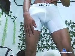 candyboy303 bongacams live cam performer profile