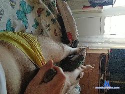Azazelzla bongacams live cam performer profile