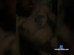AleksBorzzz bongacams livecam show performer room profile