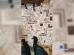 Max311219831 bongacams livecam show performer room profile