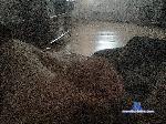Darkholder34r bongacams livecam show performer room profile