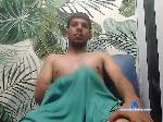 brey-bigcock bongacams livecam show performer room profile