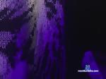 D4rkR4bb1t bongacams livecam show performer room profile