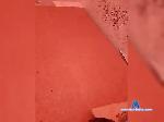 ArimaSan1196 bongacams livecam show performer room profile