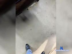 Alexkam7a bongacams live cam performer profile