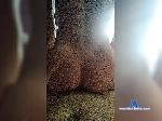 pporrappippam bongacams livecam show performer room profile