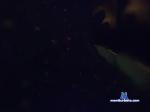 coolpajpaj bongacams livecam show performer room profile