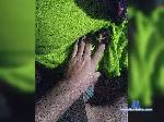DesiKapal bongacams livecam show performer room profile
