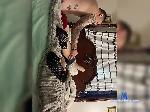 Shyguy0420042 bongacams livecam show performer room profile