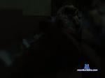 Jack0851 bongacams livecam show performer room profile