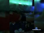 miklily bongacams livecam show performer room profile