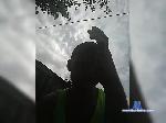 Vlad29xxxl bongacams livecam show performer room profile