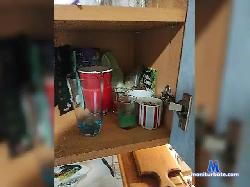 RaulQg1 bongacams live cam performer profile