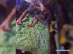 EverydayLife7 bongacams live cam performer profile