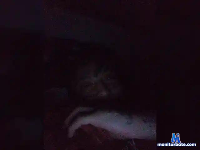 SEZARP bongacams performer male