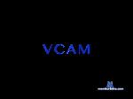Sasha-098 bongacams livecam show performer room profile