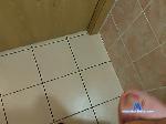 sadiron bongacams livecam show performer room profile