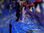 HappyFriendsS bongacams livecam show performer room profile