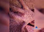Huliganka00 bongacams livecam show performer room profile