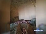 Nikson30 bongacams livecam show performer room profile