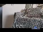daddy-mr777 bongacams livecam show performer room profile