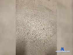 KingD1ck bongacams live cam performer profile