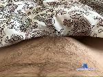LLVVAA1503 bongacams livecam show performer room profile