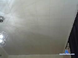 EdwinBull bongacams live cam performer profile