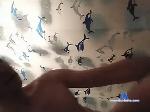 pro1Bee-5U1 bongacams livecam show performer room profile