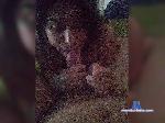 Dulcesucubo1 bongacams livecam show performer room profile