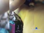 EllenAndNeal bongacams livecam show performer room profile