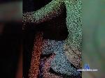Unliveoq bongacams livecam show performer room profile