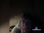 Tigerh bongacams livecam show performer room profile